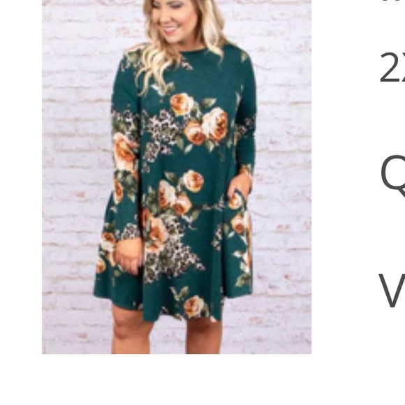 Plus size 2x-3x. Chic soul/Torrid. dresses worn a few hours. Smoke/pet free home - Picture 4 of 8